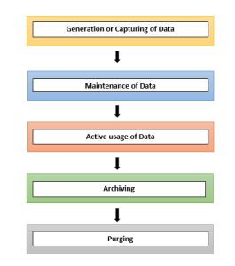 Stages of Data Lifecycle Management