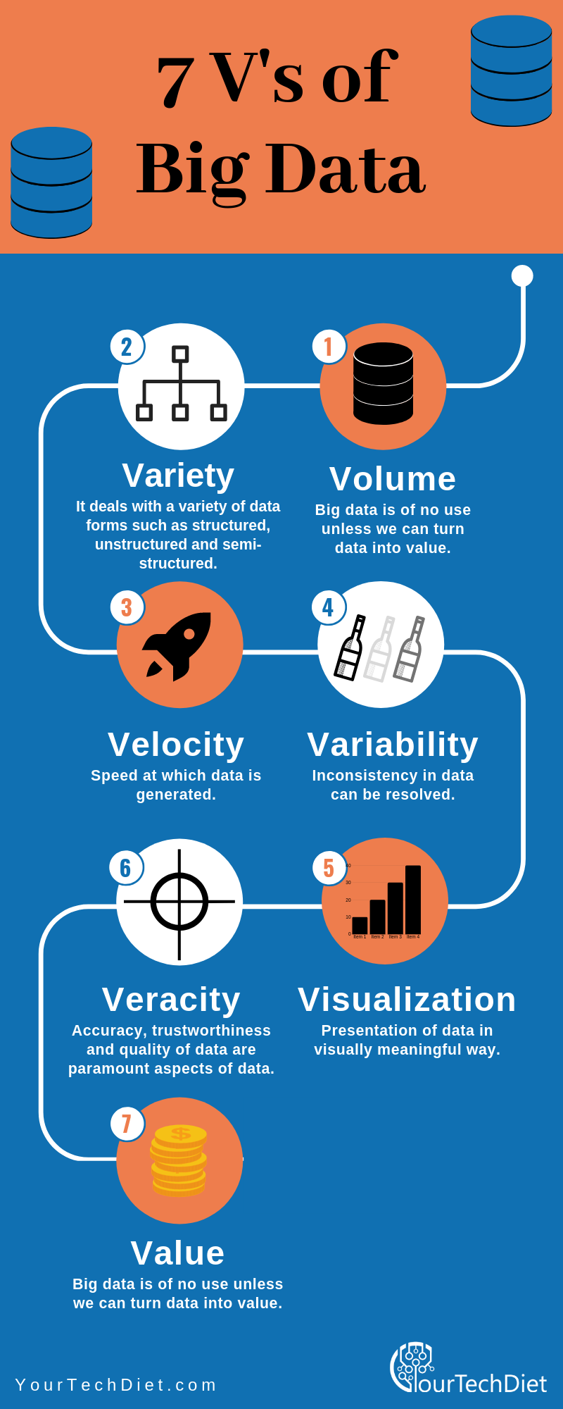 7 V's of Big Data Infographic